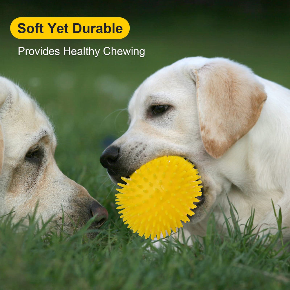 VITEVER diseño resistente para morder, resistente al desgaste en perros fuertes