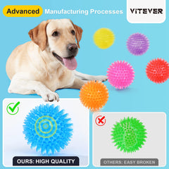 VITEVER textured spiky ball emphasizes chewing and indoor-outdoor engagement