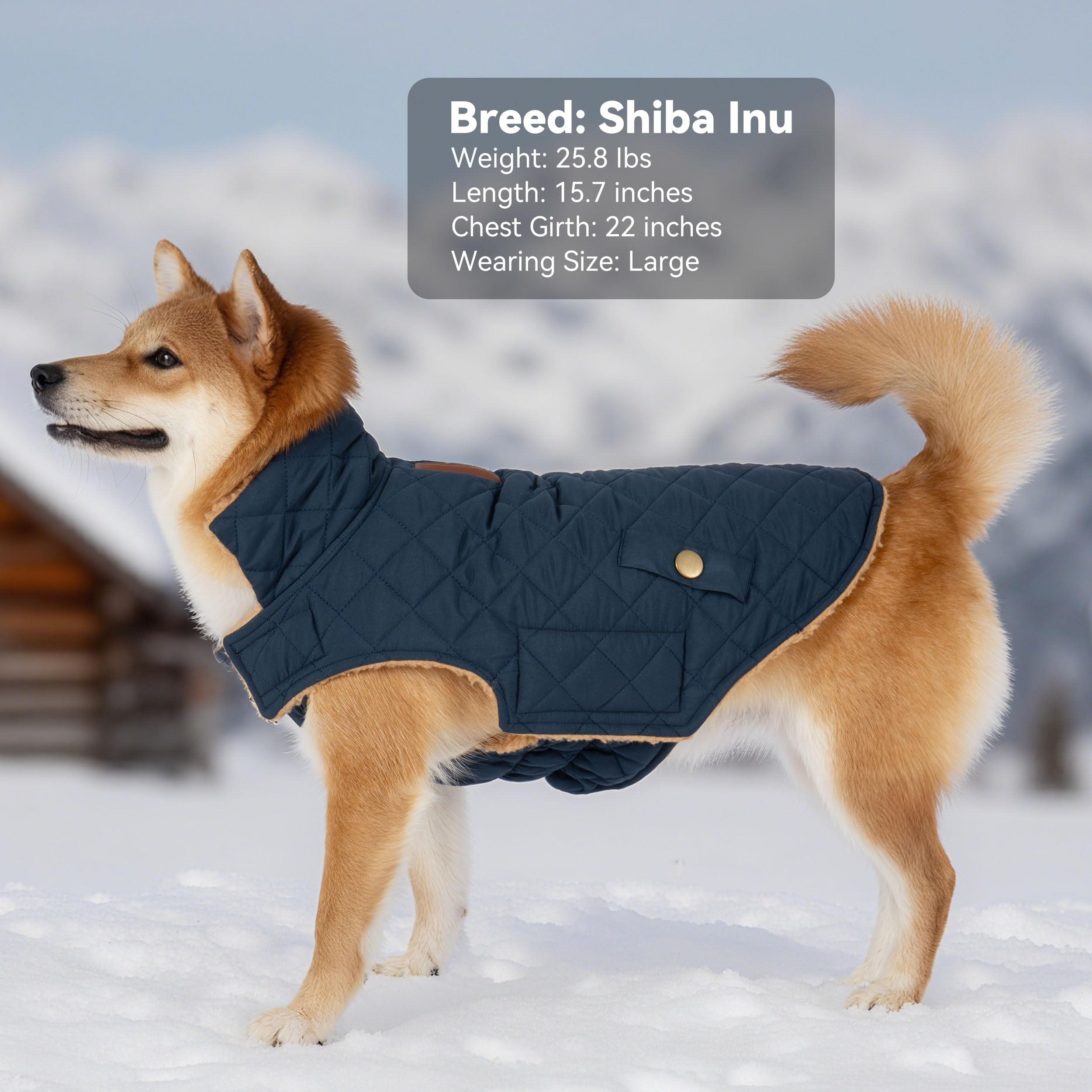 Vitiswap dog winter coat machine-washable for easy cleanup after adventures