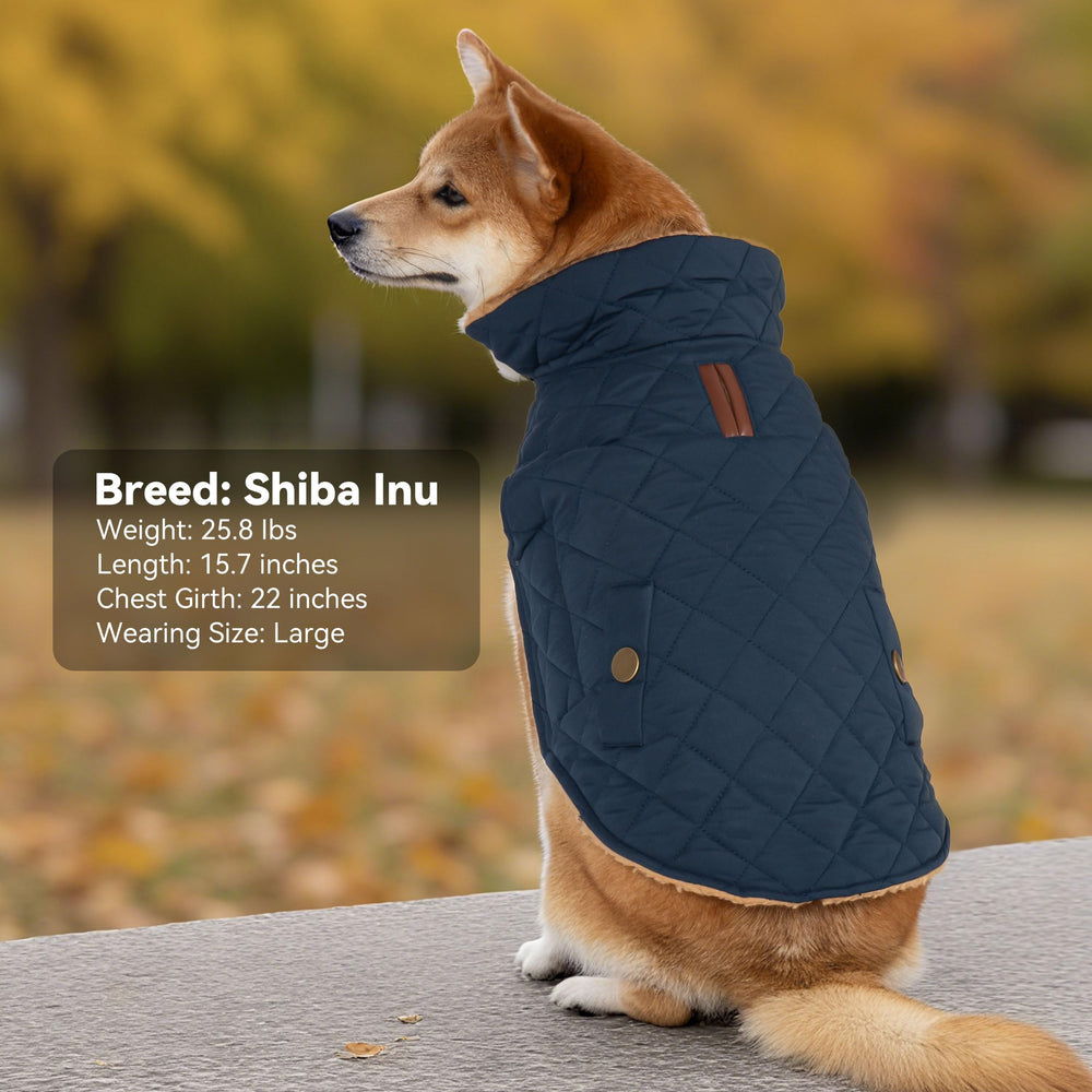 Vitiswap dog winter coat navy color suitable for outdoor use