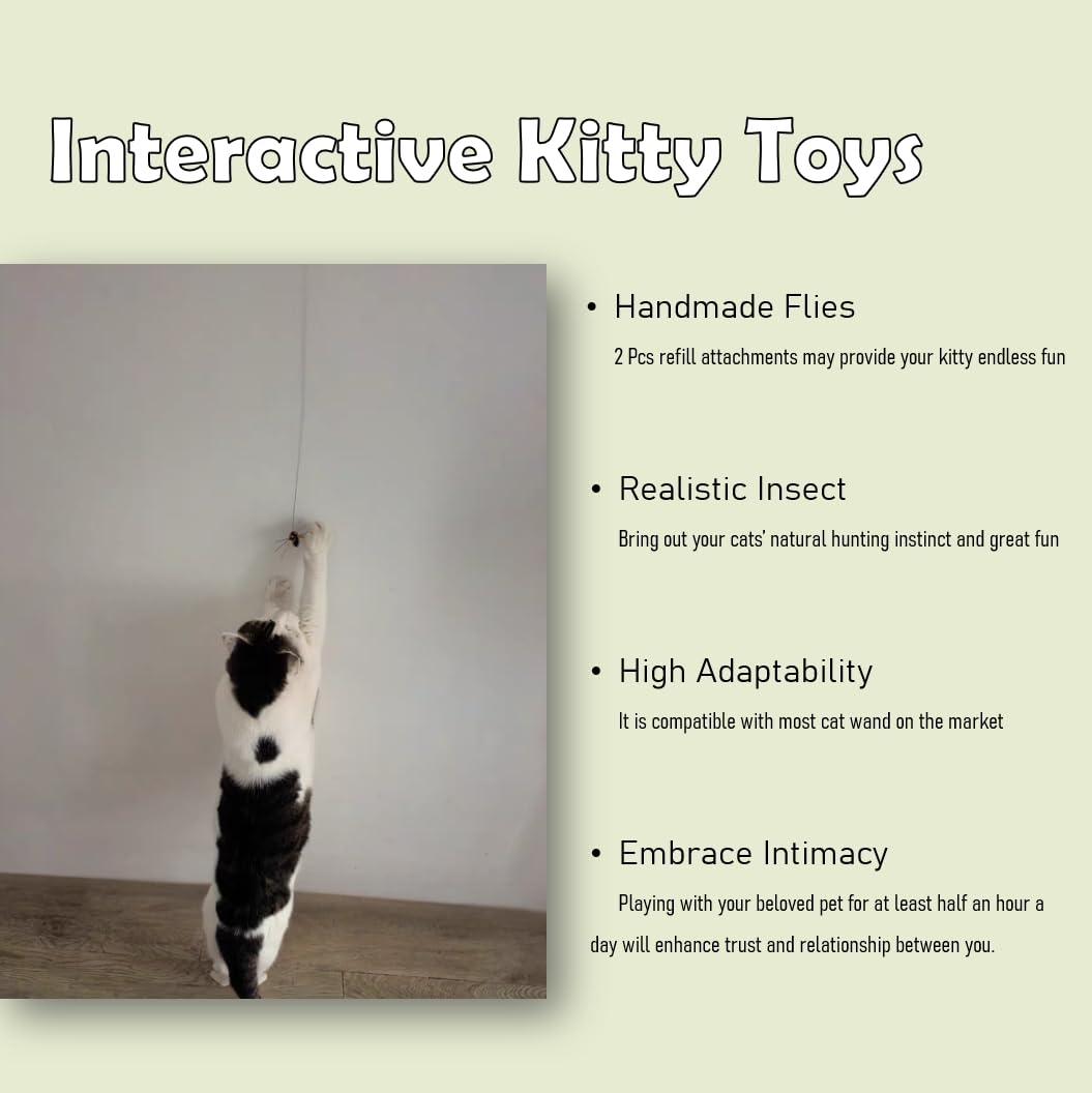 Vitisyao stress-relief toy supports cats’ activity needs through engaging, interactive moments.