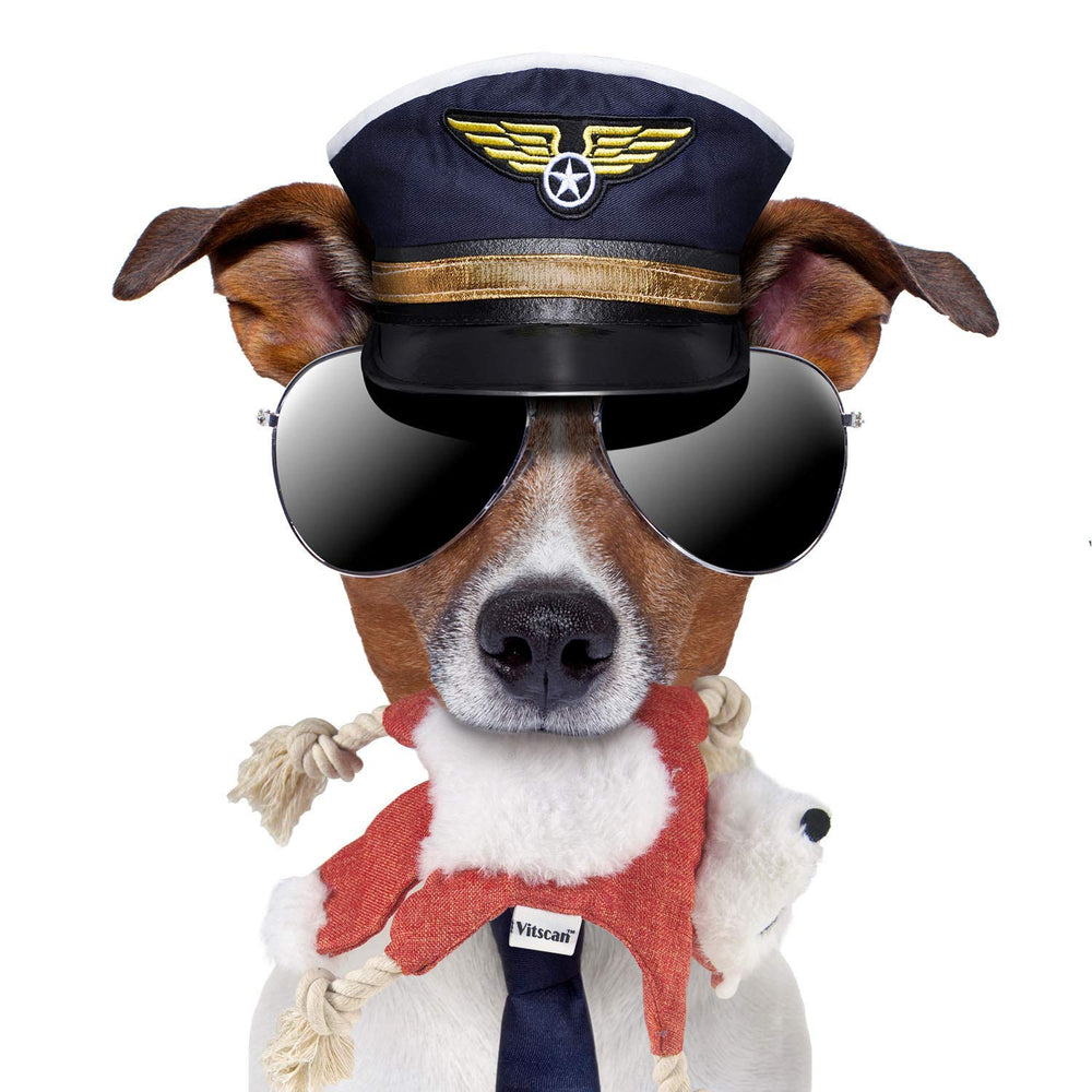 Vitscan Fox dog toy embroidery eyes for cute appeal