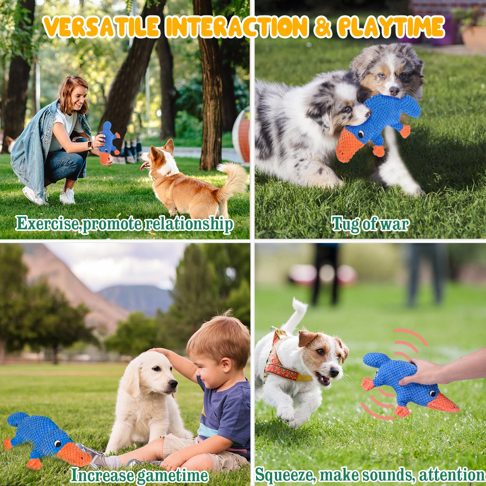 Vitscan interactive chew toy supports active play and curiosity.