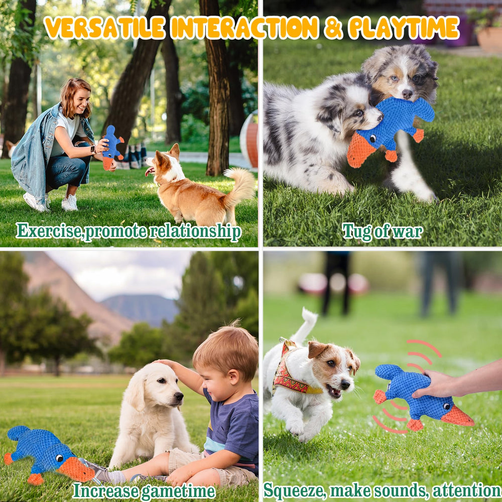 Vitscan interactive chew toy supports active play and curiosity.