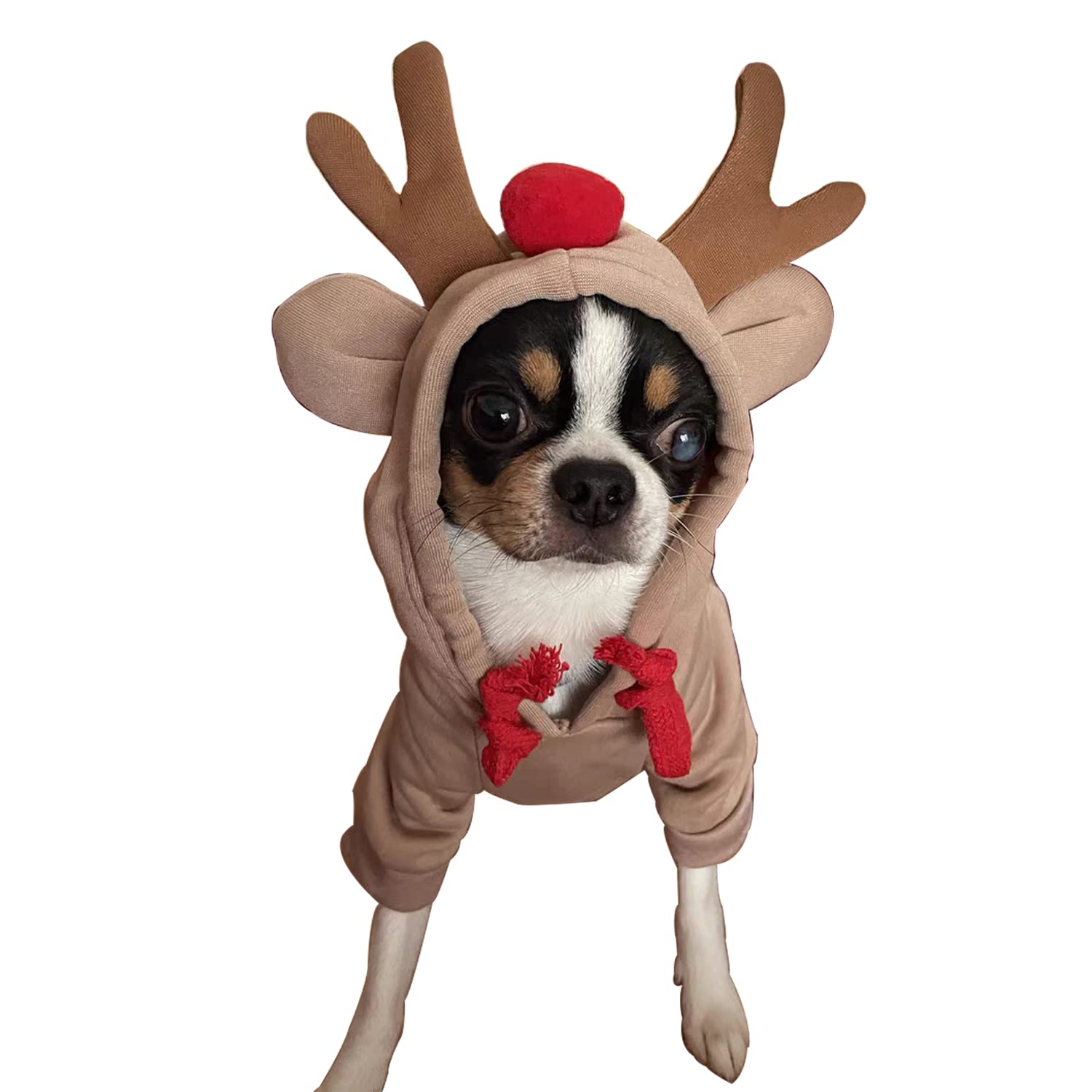 VITSOLE elk-fruit hoodie on a dog provides cozy warmth for winter walks.