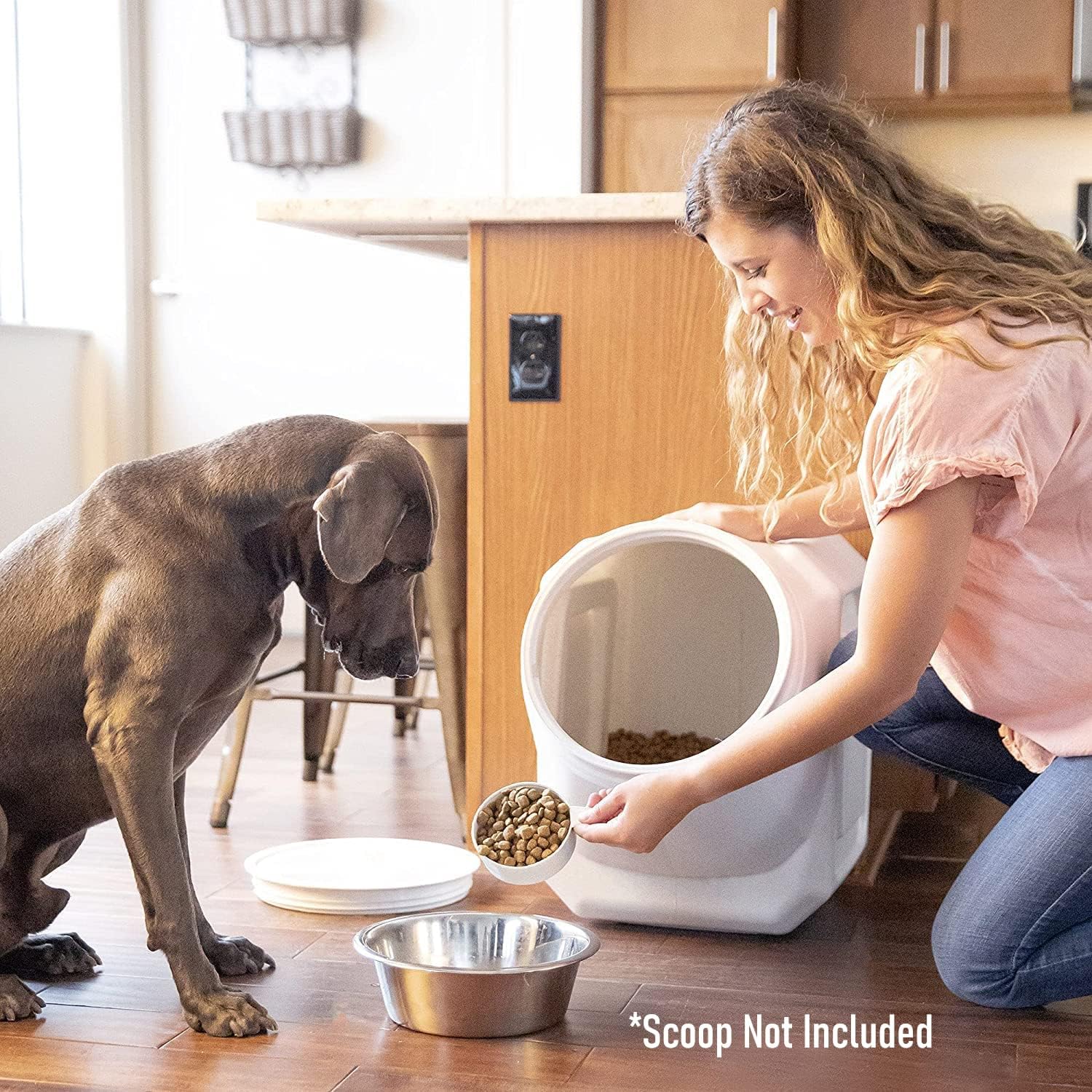 Vittles Vault pest protection with Gamma Seal Technology keeps ants and pests out.