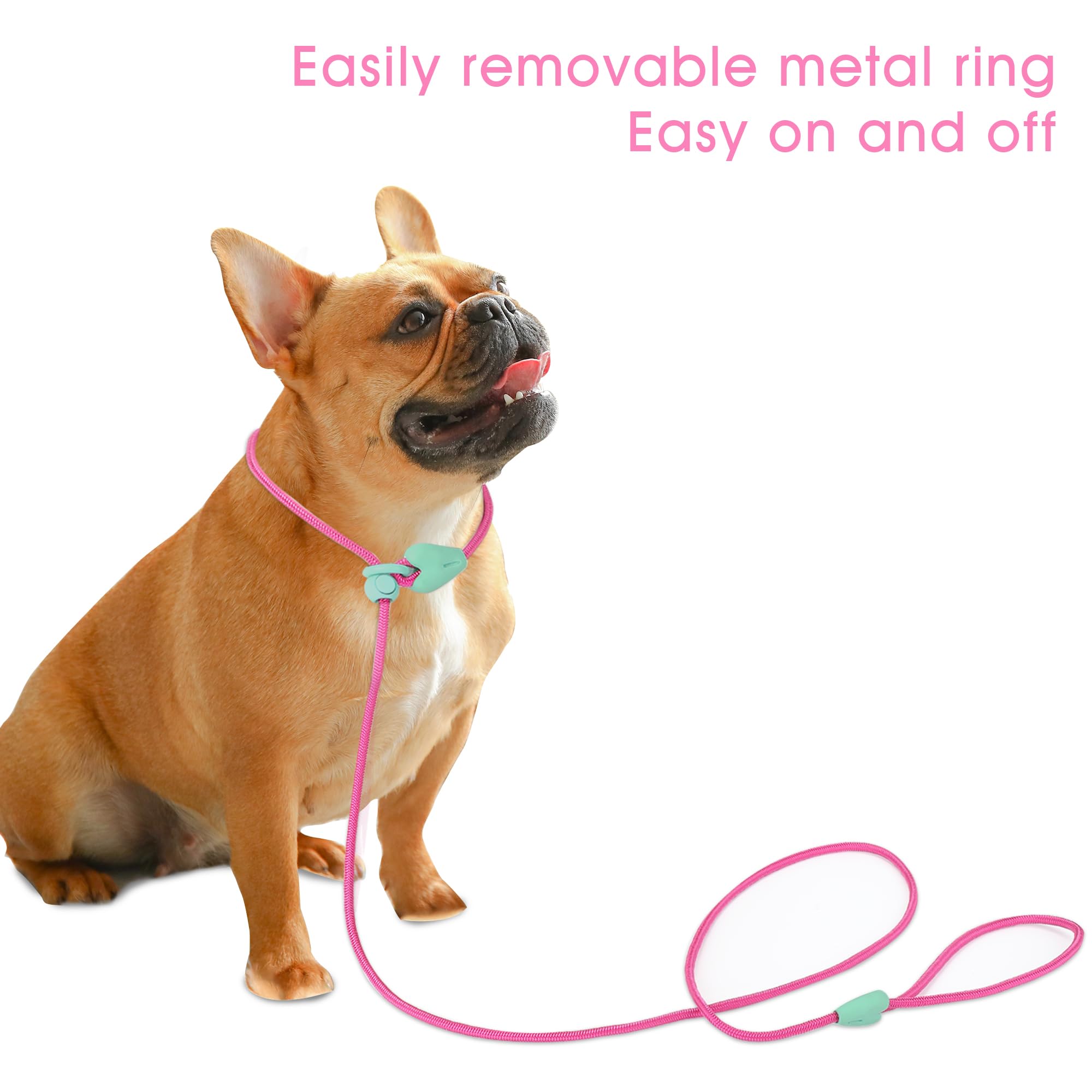 Viunimo color options showcase fashion-friendly accessory for small to medium dogs.