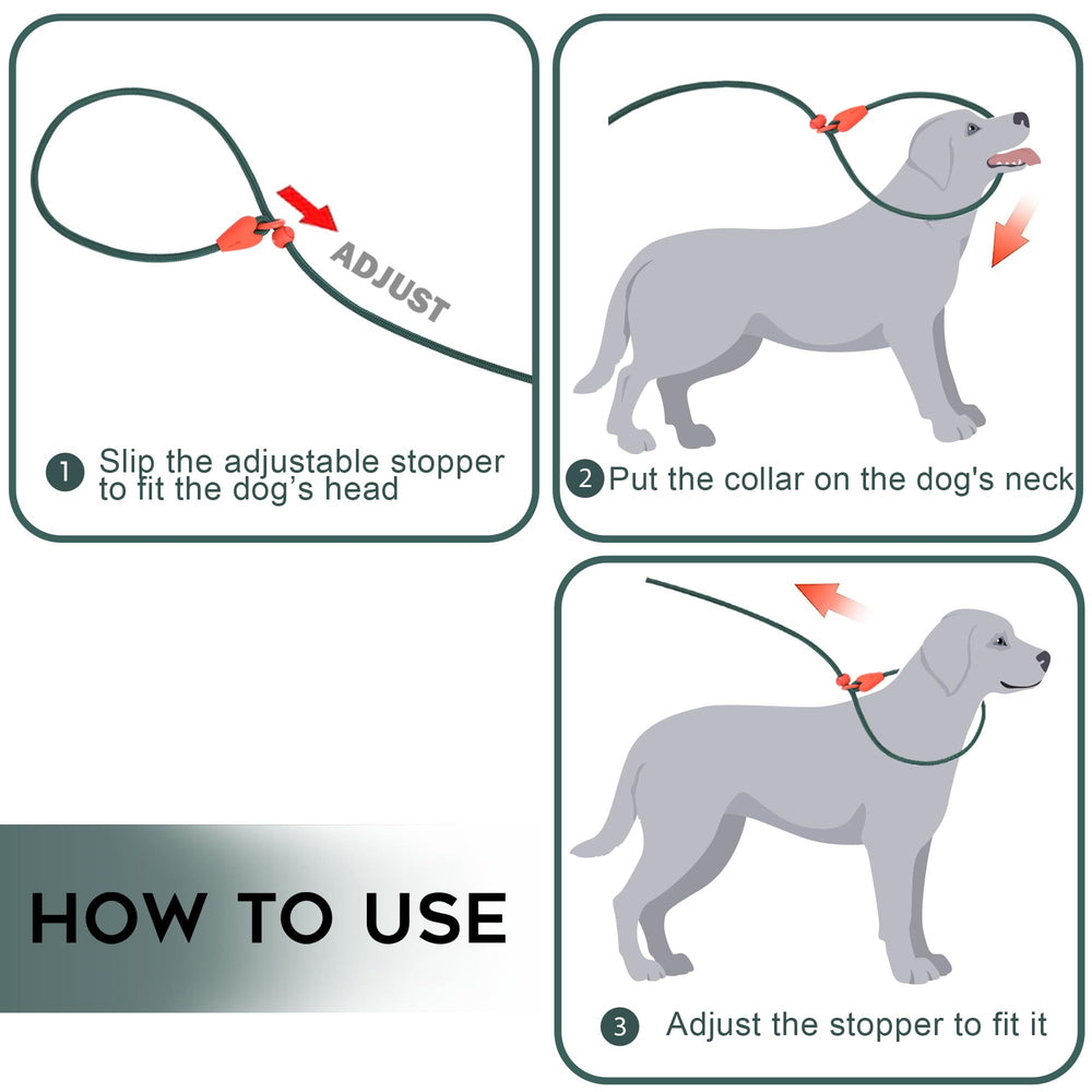 Viunimo dog leash with color-contrast green design for better visibility during walks.