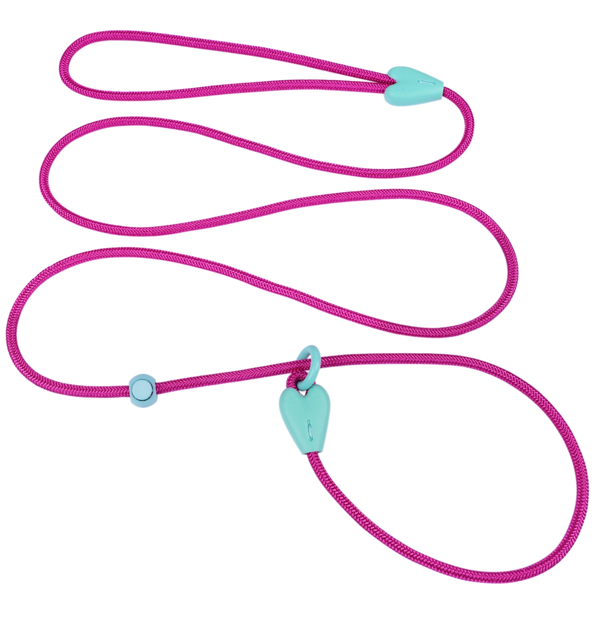 Viunimo dog training slip lead 6ft rose red on dog for controlled walks.