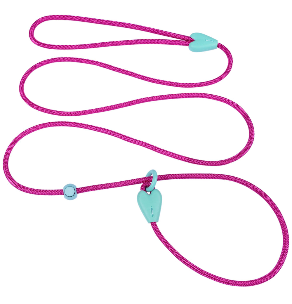 Viunimo dog training slip lead 6ft rose red on dog for controlled walks.