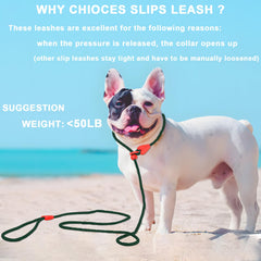 Viunimo slip lead easy-on-off design for quick fitting during daily dog walks.