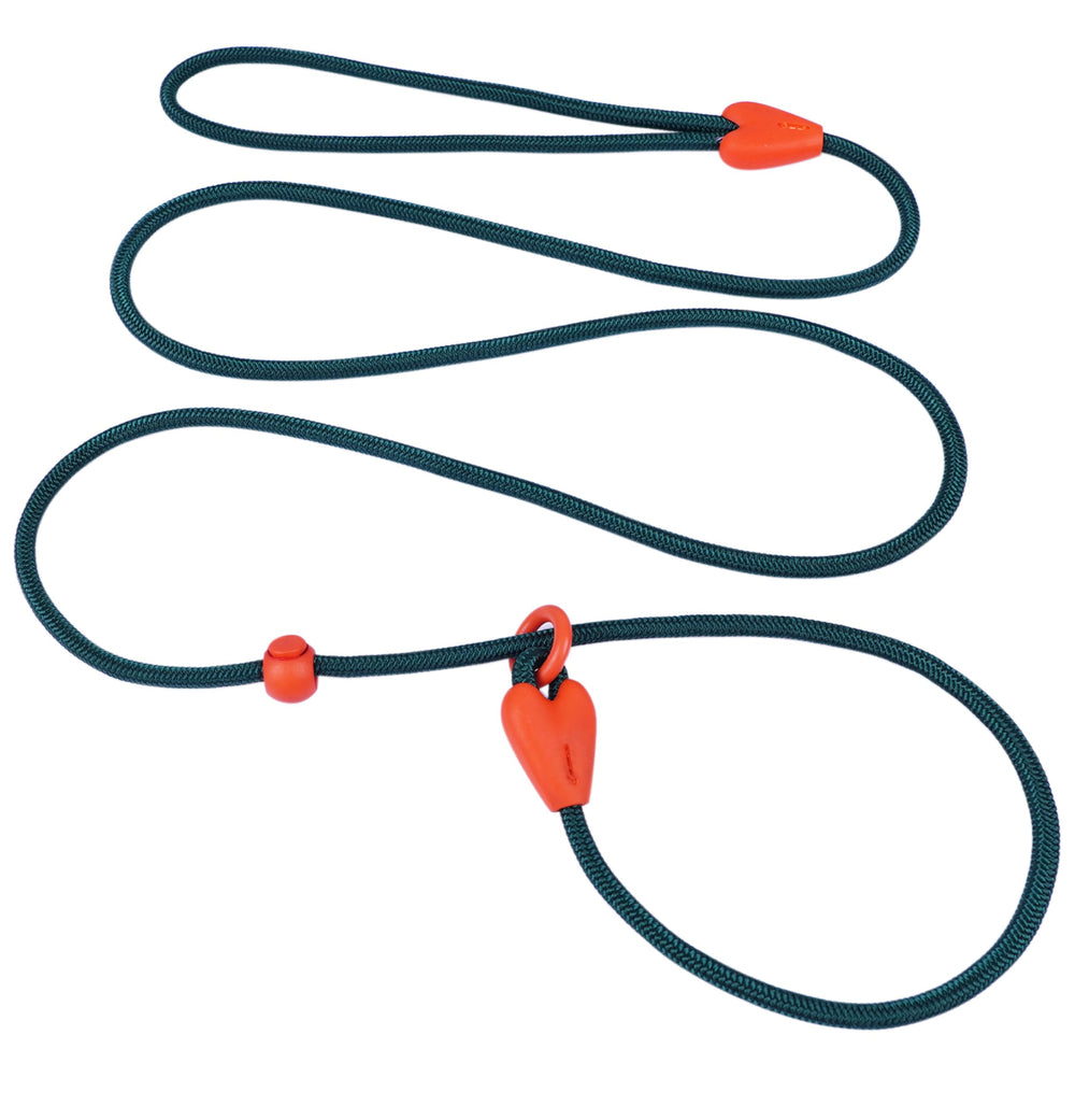 Viunimo slip lead nylon 6ft green for easy control during walks and training.