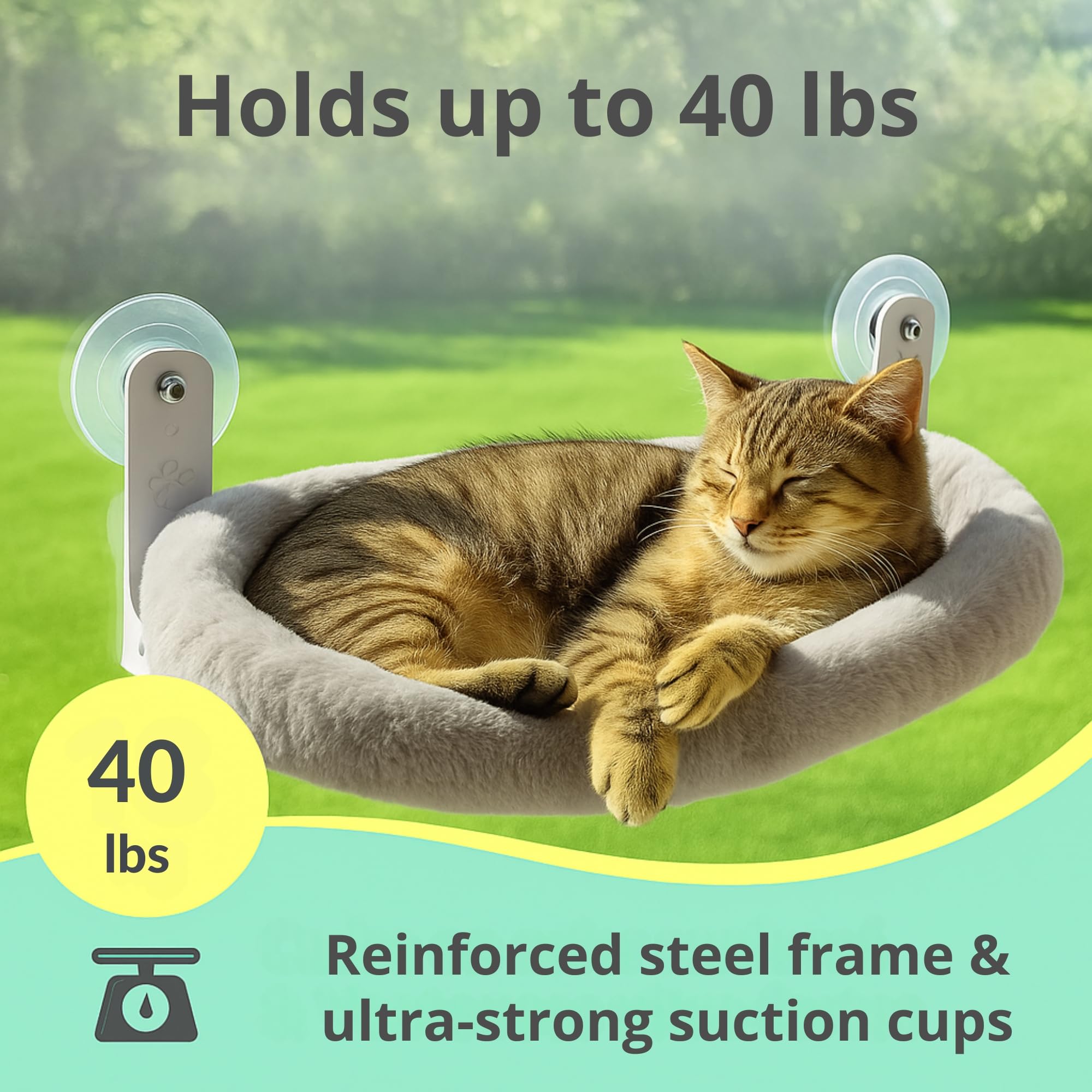 Viva Cat heavy-duty design supports up to 40 lbs for robust use.