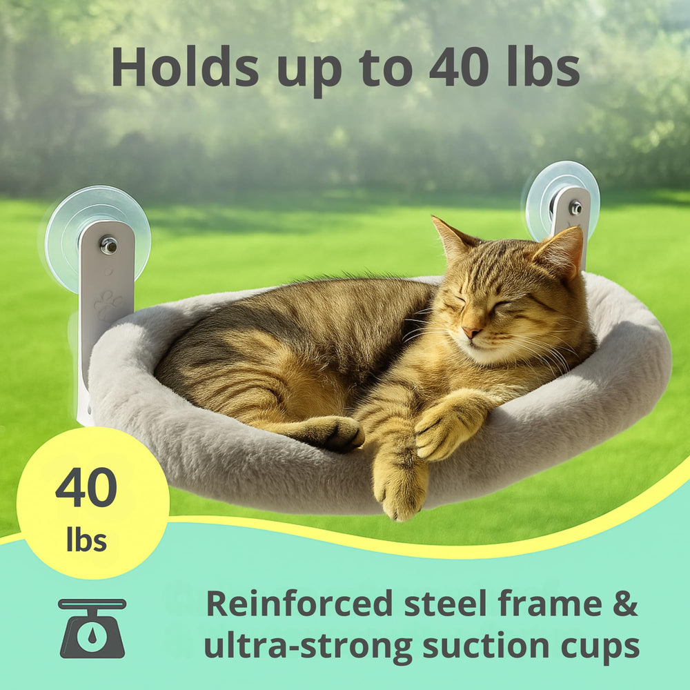 Viva Cat heavy-duty design supports up to 40 lbs for robust use.