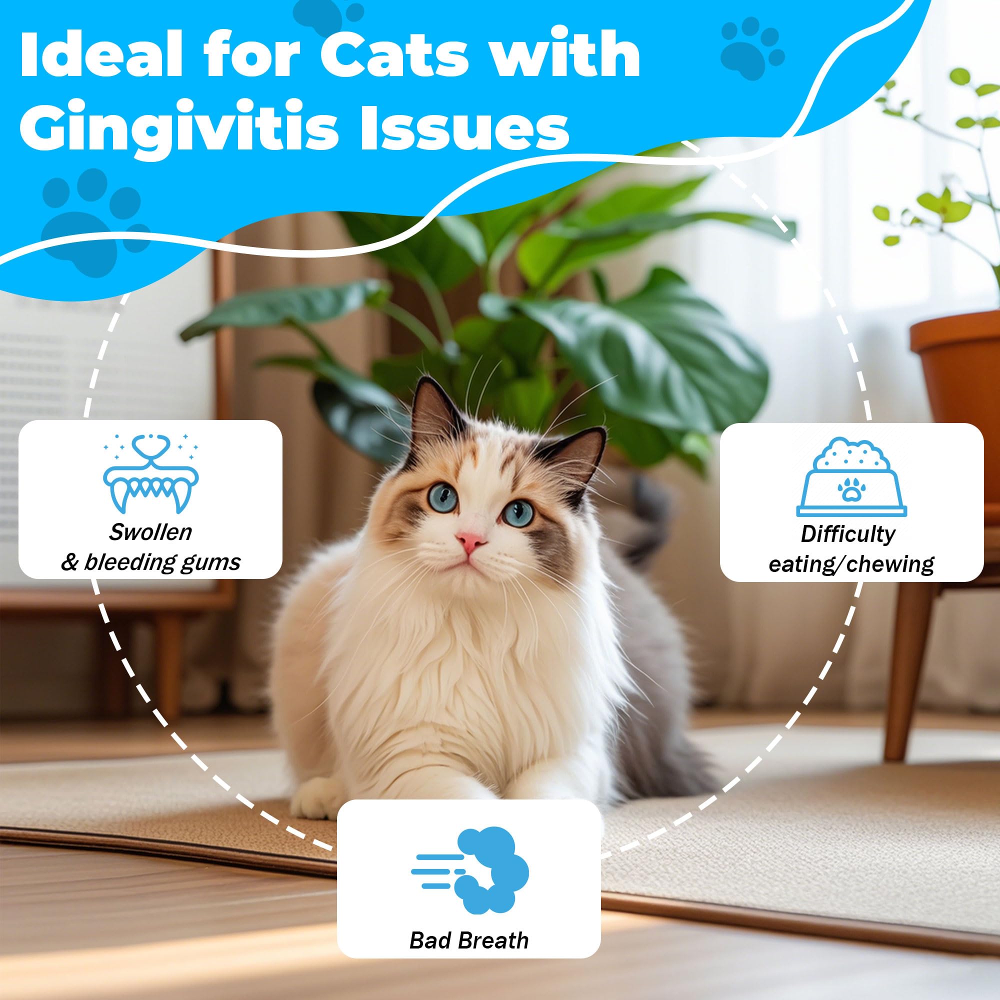 VivaElixir cat dental care natural ingredients chart—aloe, chamomile, cranberry advantages.