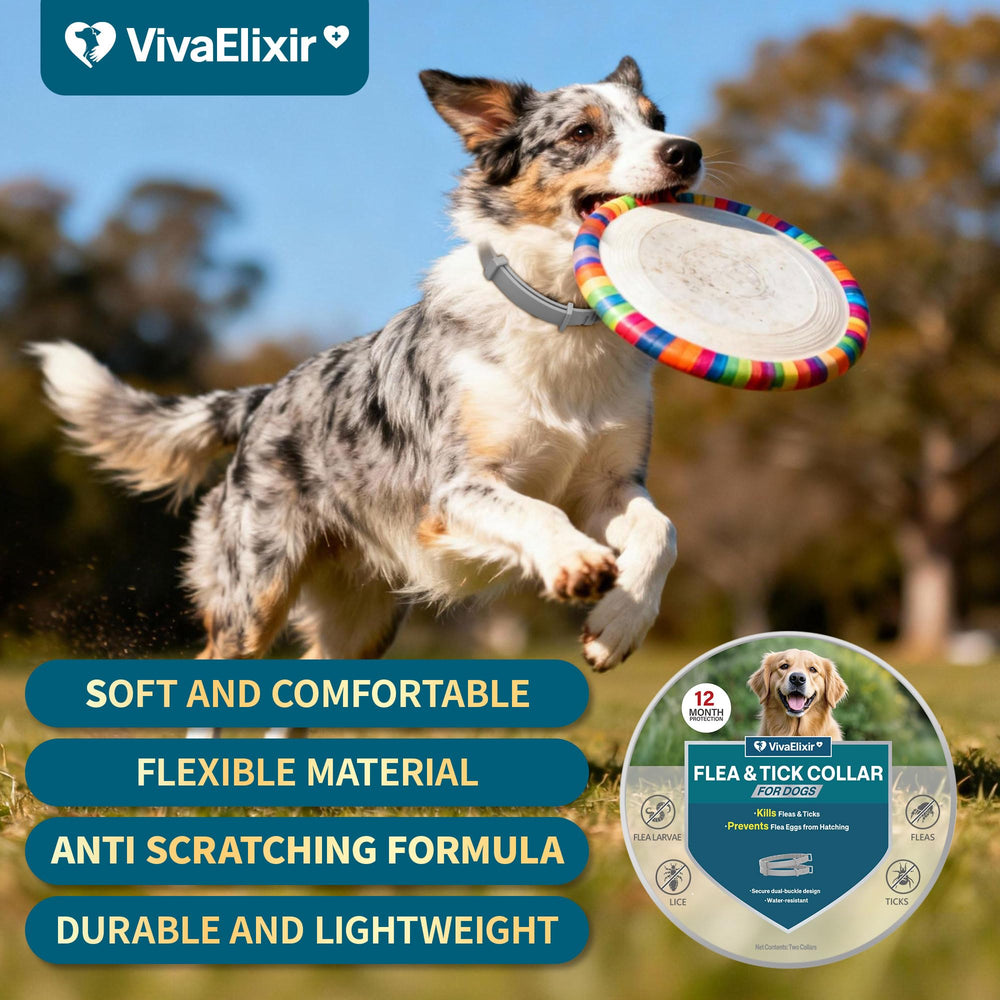 VivaElixir flea collar packaging with two collars, 16-month protection claim.