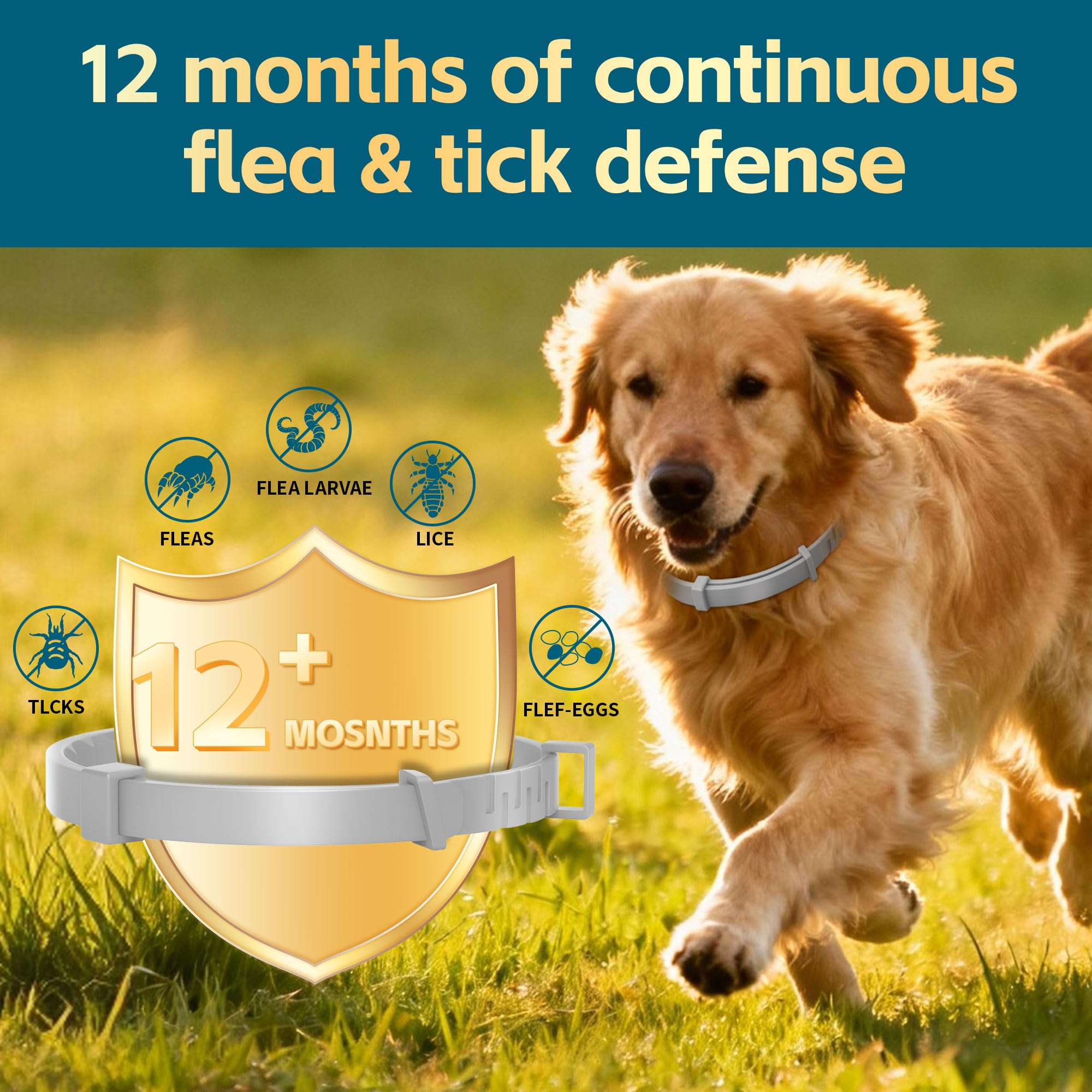 VivaElixir flea collar close-up highlighting comfort technology for a snug, flexible fit.