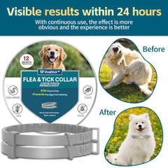 VivaElixir flea collar next to herbal ingredients, signaling natural, pet-friendly formula.