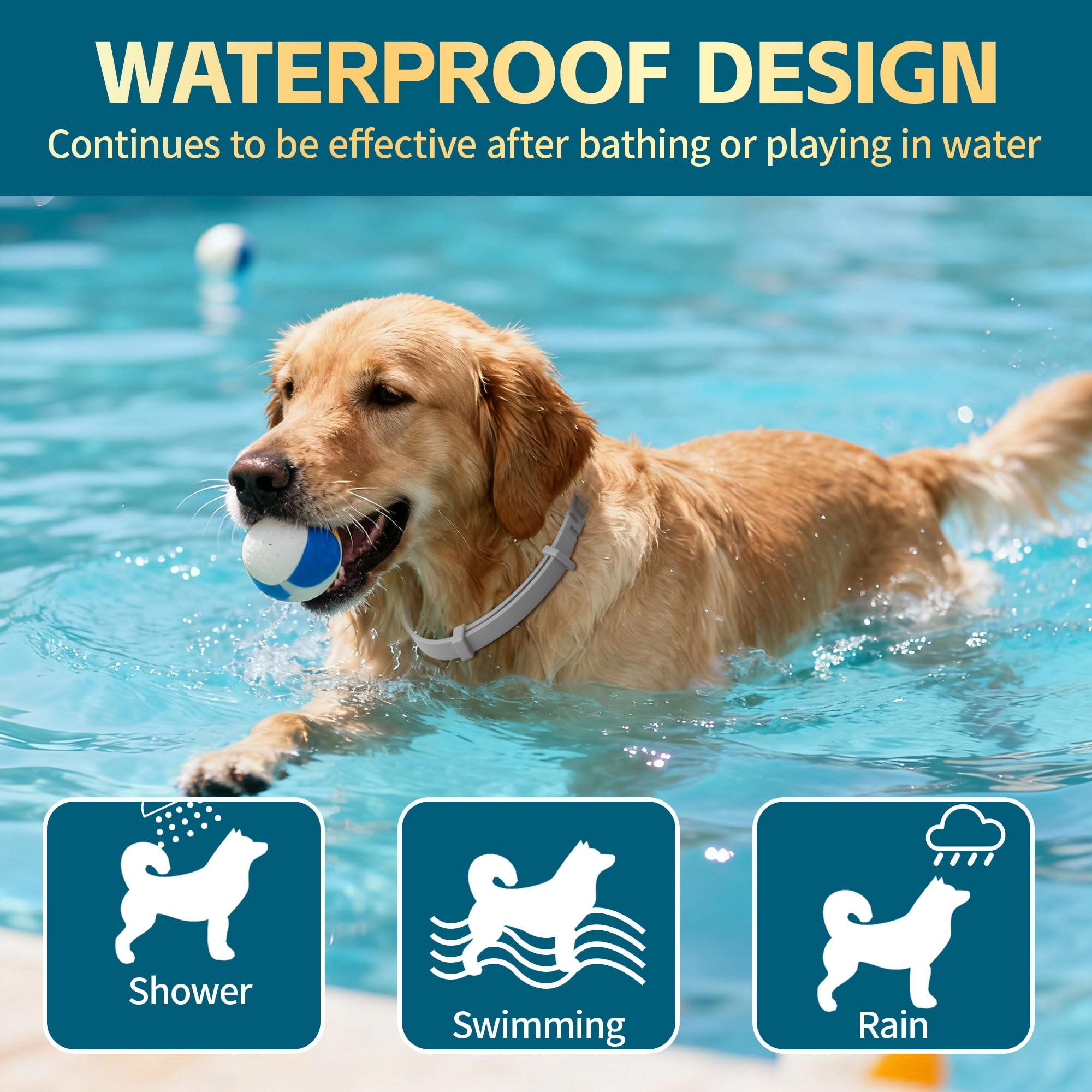 VivaElixir flea collar worn during a hiking trail, ideal for outdoor adventures.