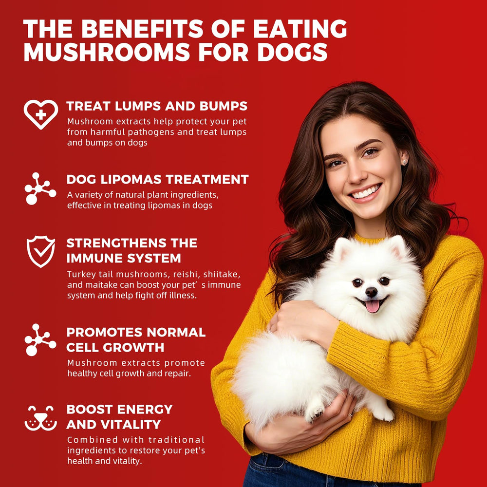 VivaElixir immune chews with chicken flavor supports aging dogs' energy and activity.