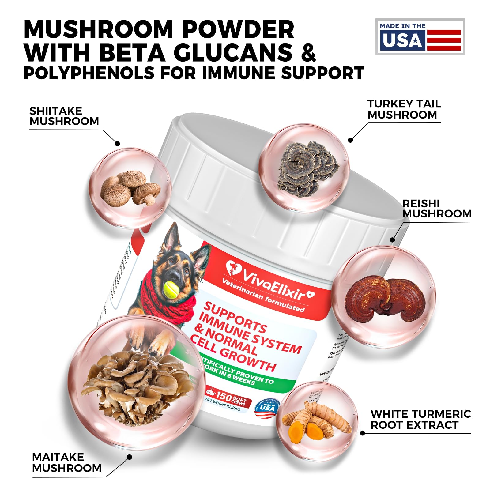 VivaElixir turkey-tail mushroom blend chews highlight antioxidant protection for dogs.