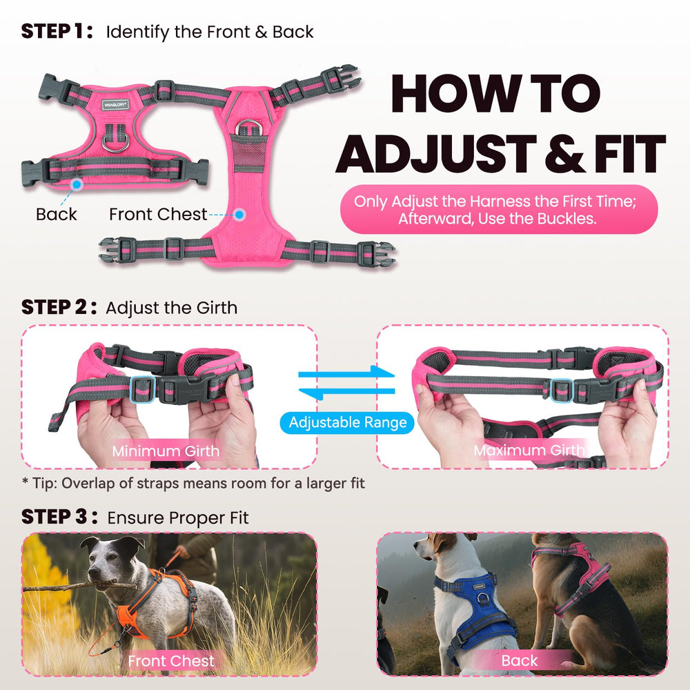 VIVAGLORY Breathable mesh panel keeps the dog cool during activity