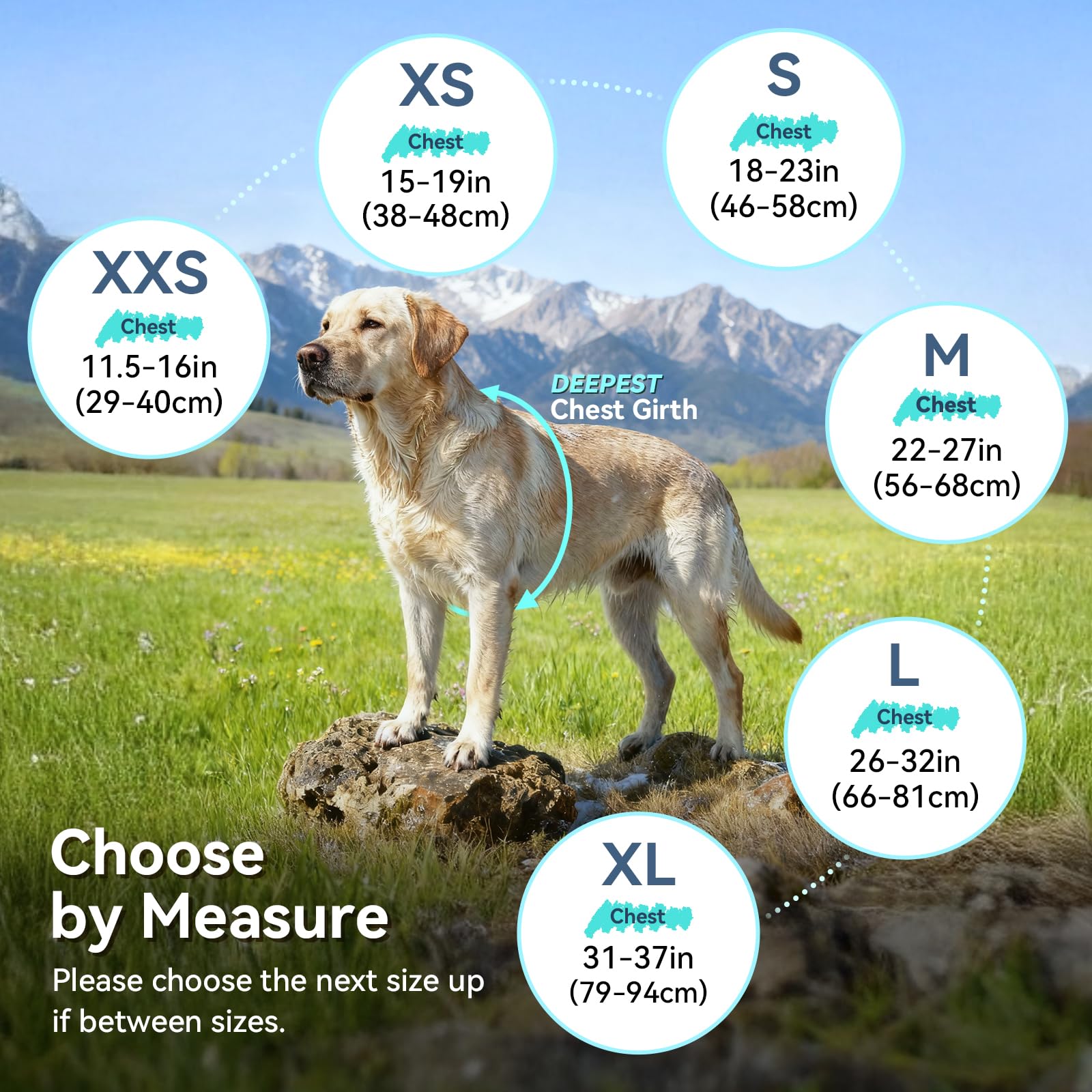 VIVAGLORY dog fleece coat fit-measurement guide helps choose the right size.
