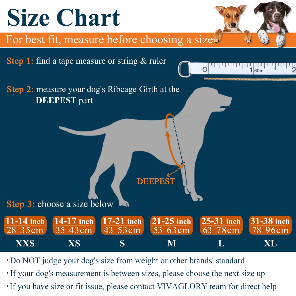 VIVAGLORY dog life vest showing buoyancy padding for confident swimming