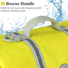 D-ring leash attachment on VIVAGLORY dog life vest for supervision