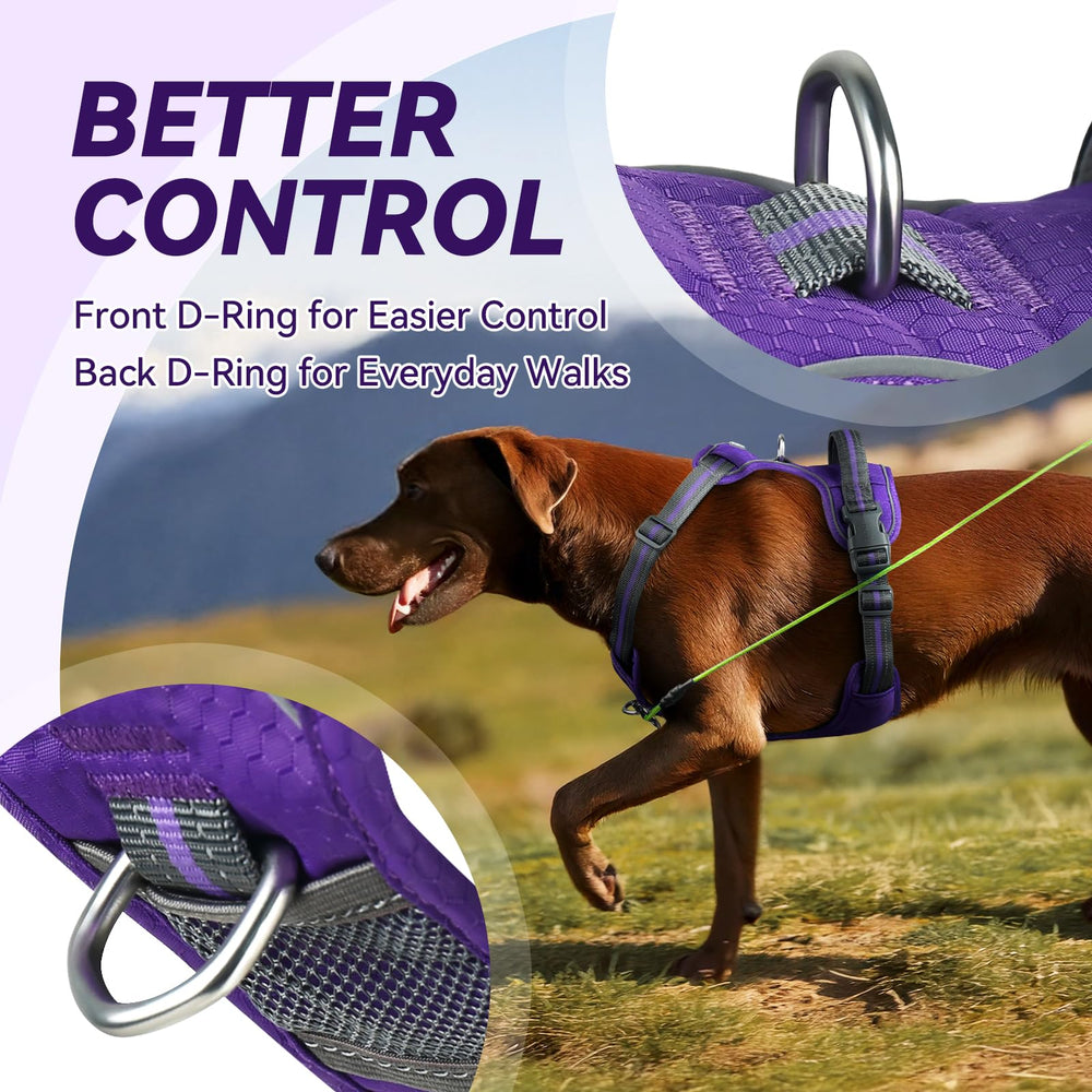 VIVAGLORY EaseWalk harness back clip shown for daily walks and control.