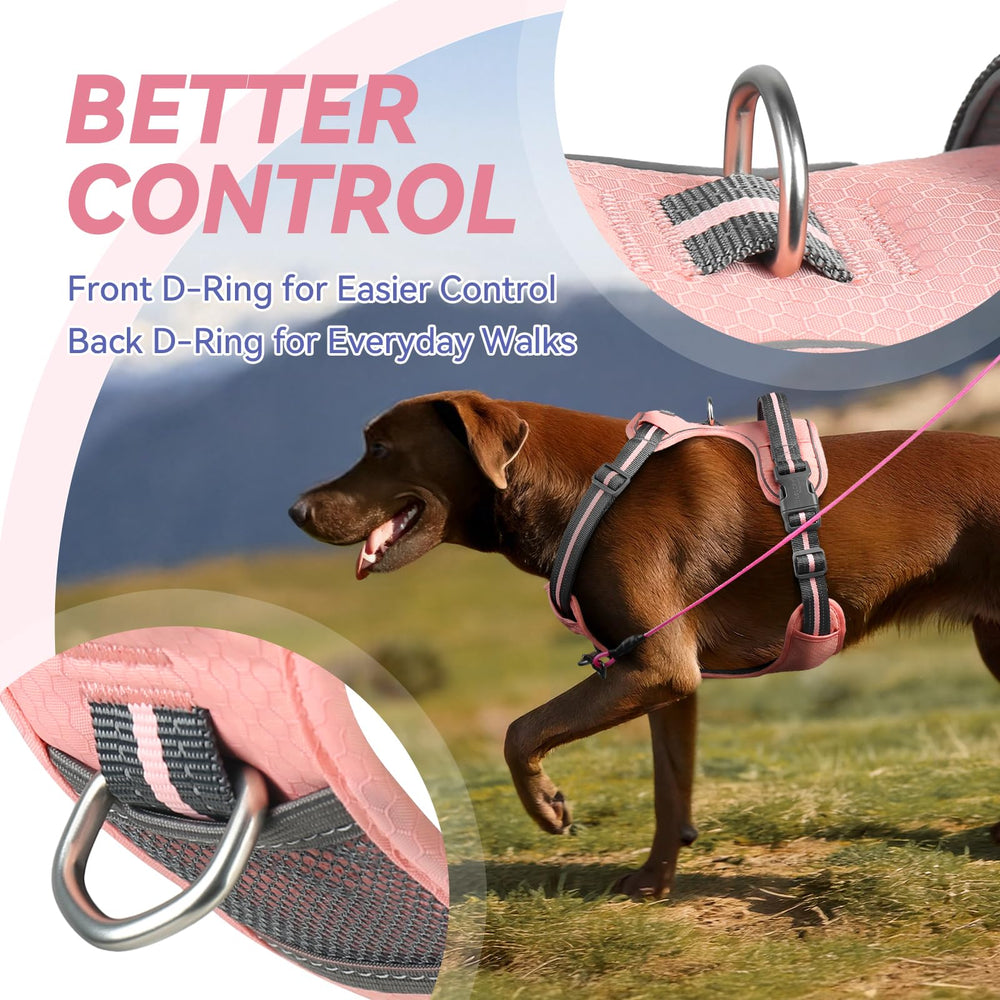 VIVAGLORY EaseWalk back-D-ring harness ready for daily walks and safe jogging