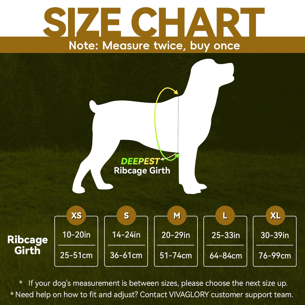 VIVAGLORY EaseWalk harness with durable D-ring and reinforced stitching for active dogs.