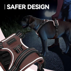 VIVAGLORY EaseWalk reflective webbing enhances nighttime visibility during walks