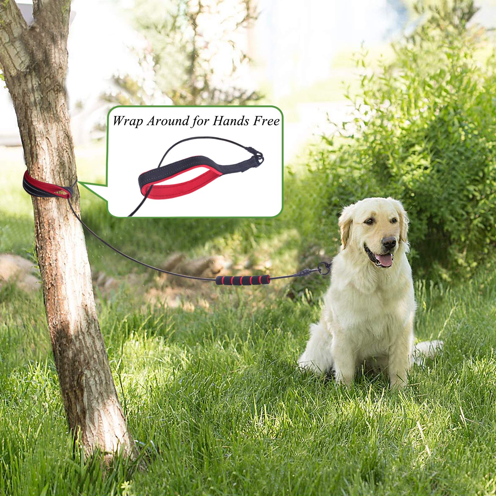 VIVAGLORY heavy-duty clasp ensures durability for dogs of all sizes