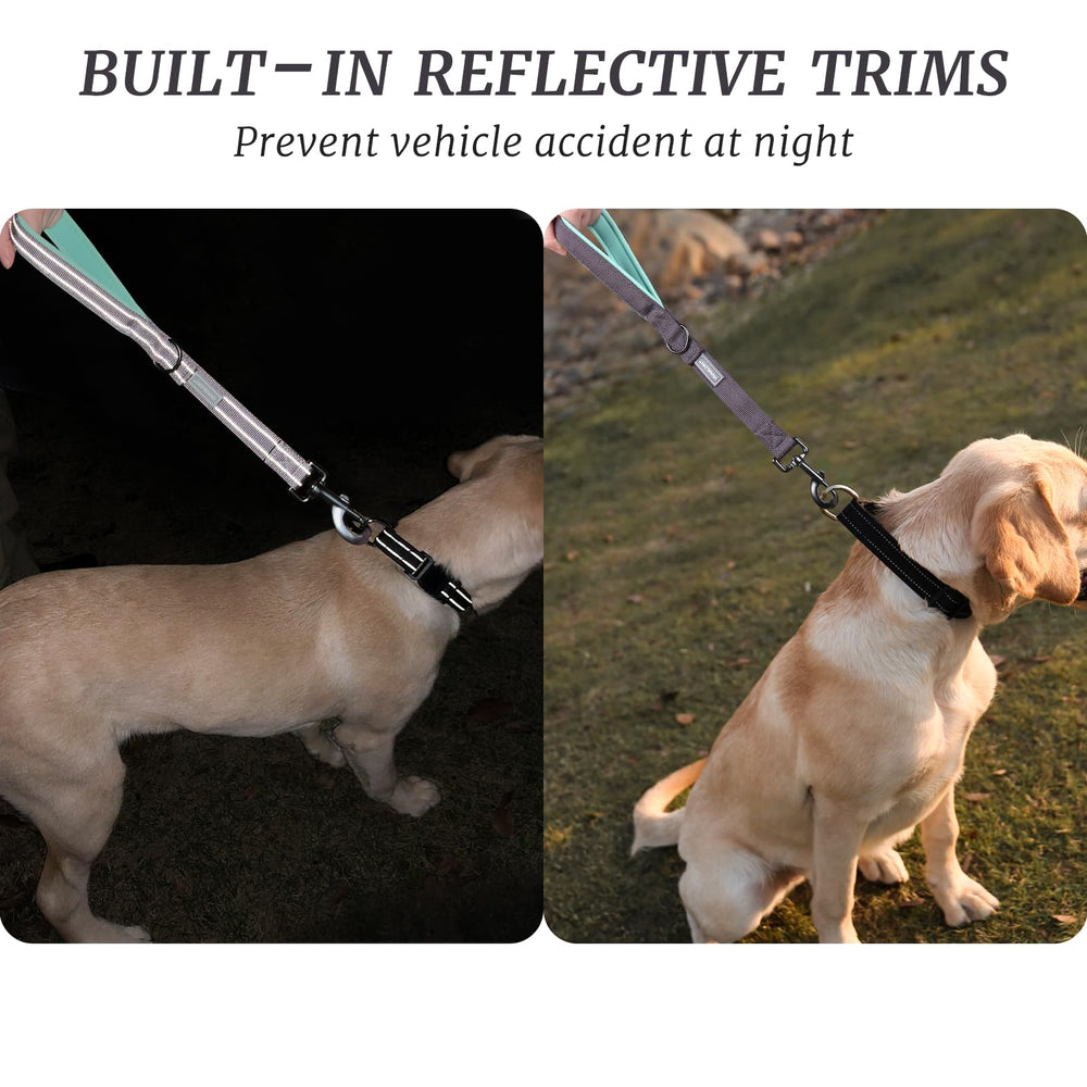 VIVAGLORY short dog leash 18inch length for close-range guidance