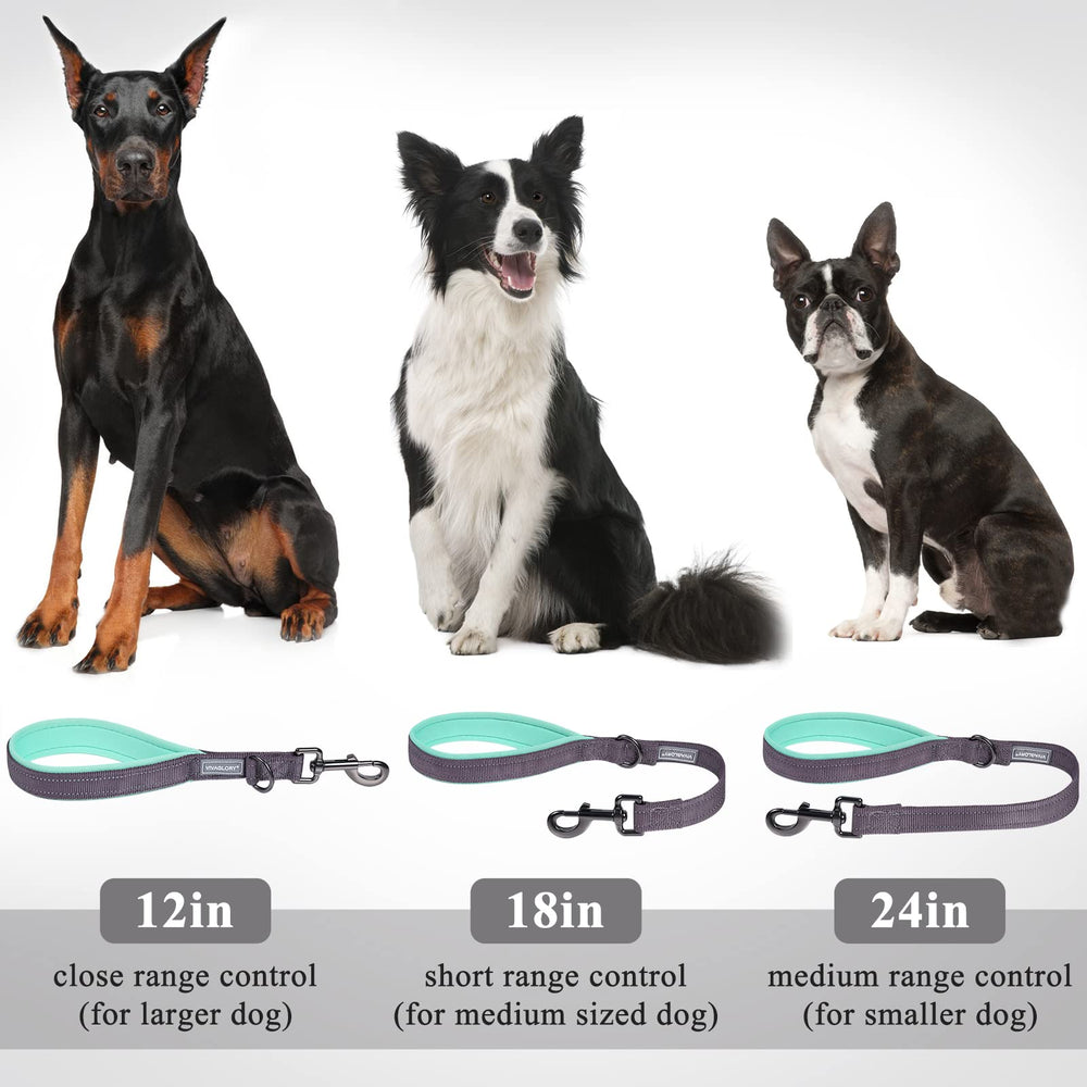 VIVAGLORY short dog leash reflective threading visible during night walks
