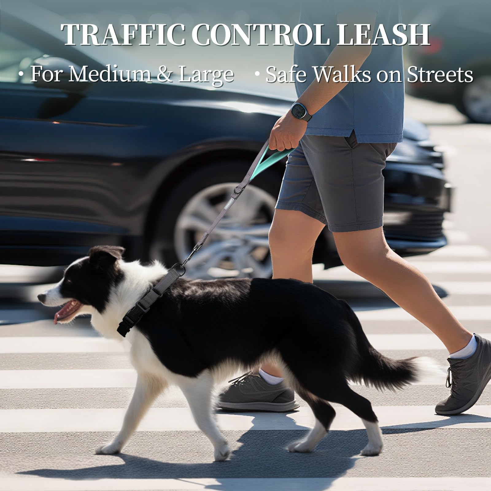 VIVAGLORY short dog leash swivel clasp highlighting anti-tangle design