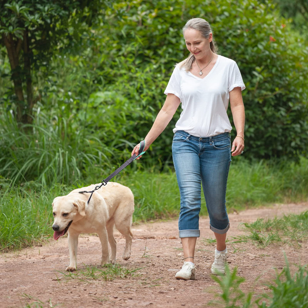 VIVAGLORY short dog leash walking in park use scenario