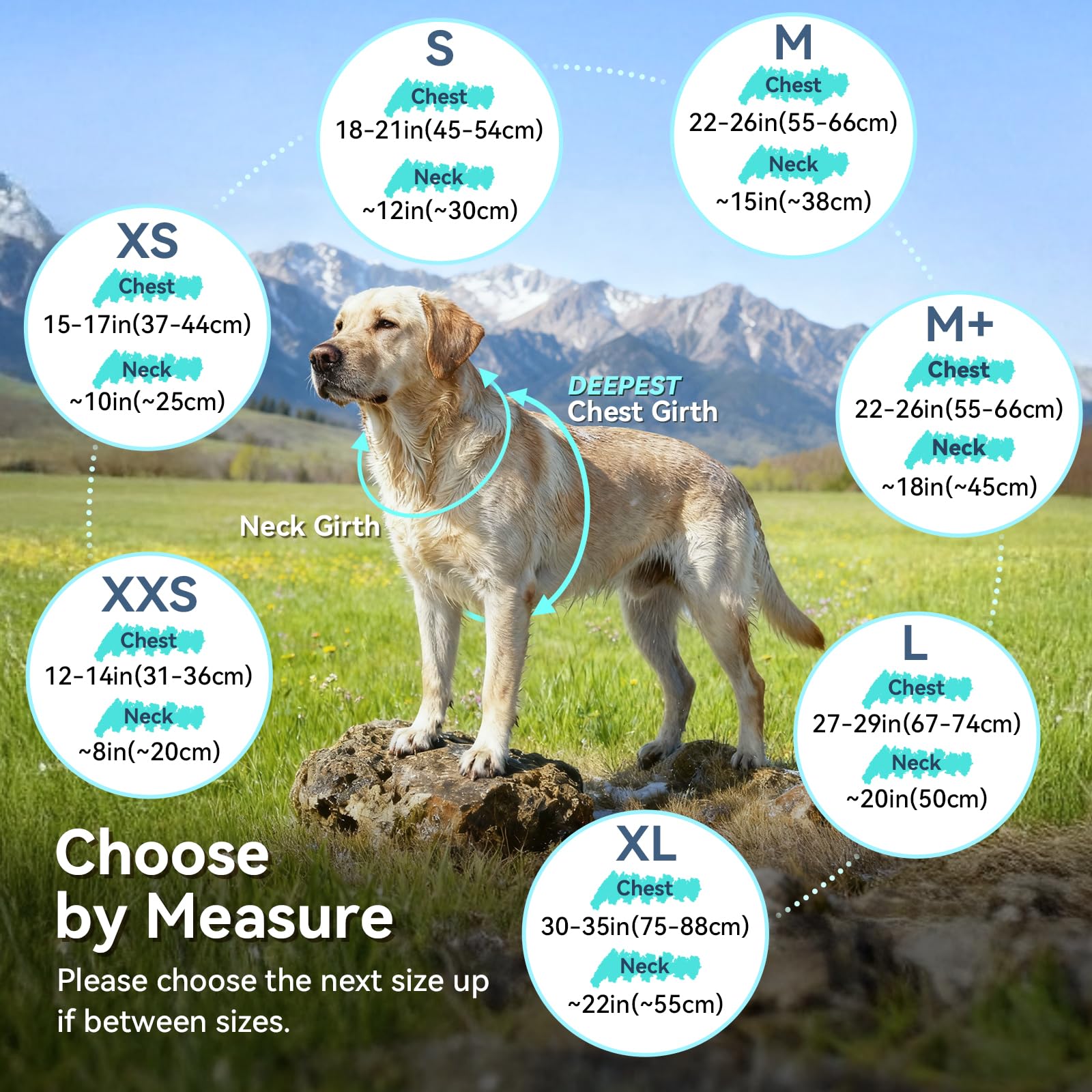 VIVAGLORY Softpad fleece vest back view highlights full coverage and mobility