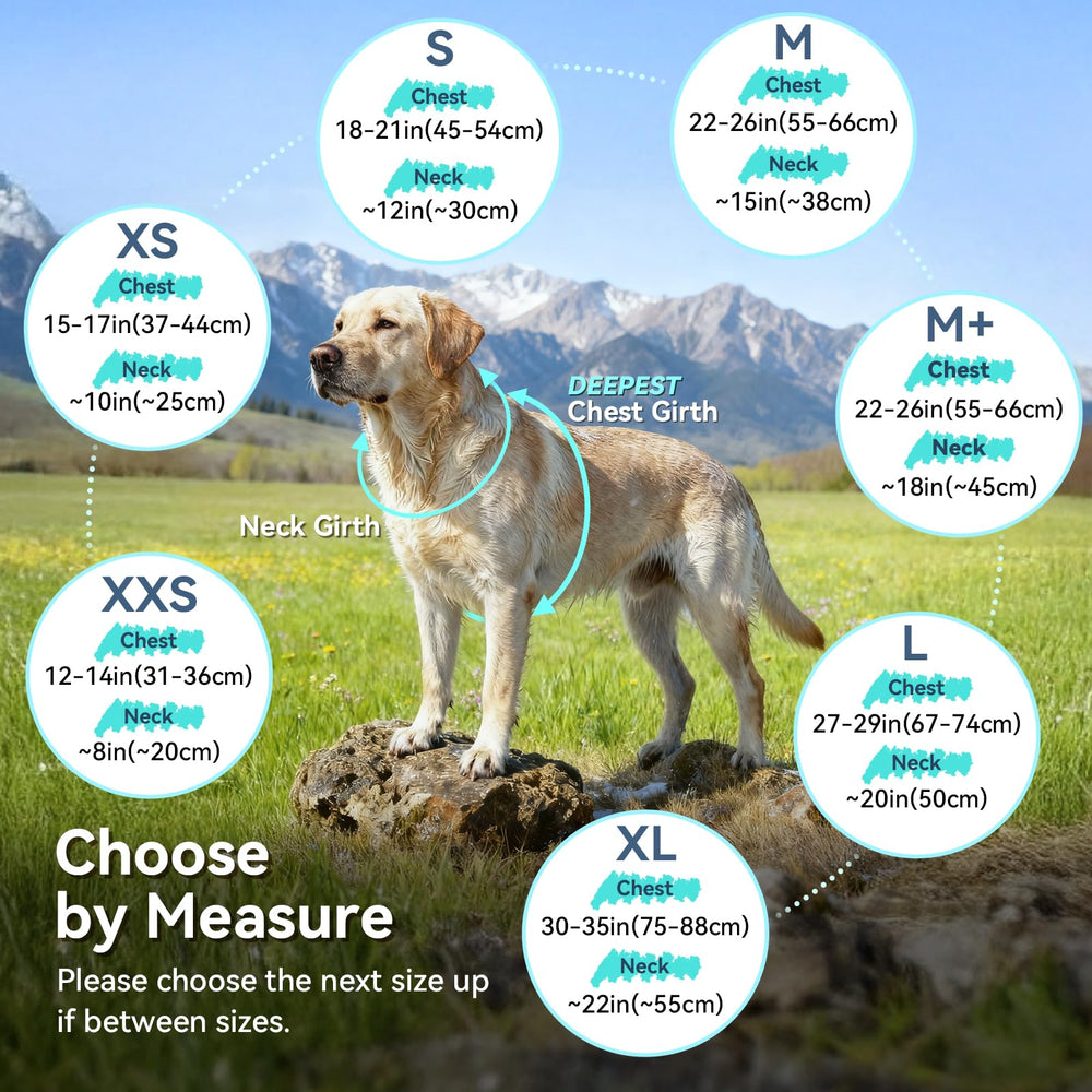 VIVAGLORY Softpad fleece vest back view with full coverage warmth