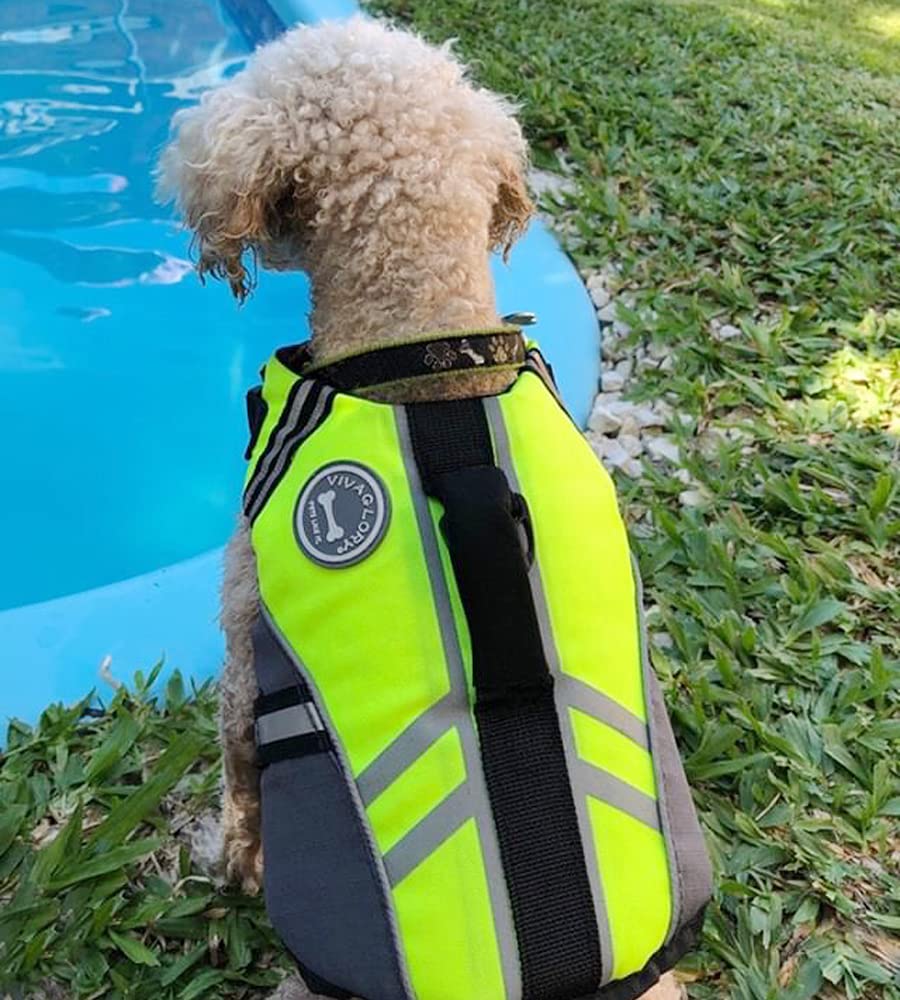 VIVAGLORY adjustable straps ensure secure fit on breeds