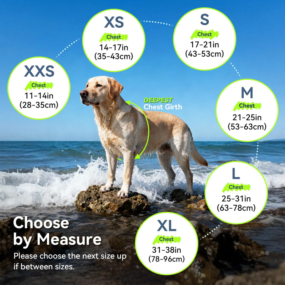 VIVAGLORY Top grab handle helps lift your dog with confidence.