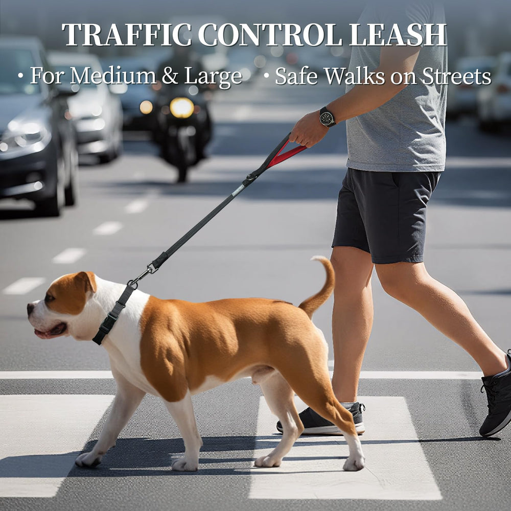VIVAGLORY traffic leash swivel clasp prevents twisting for smooth walks
