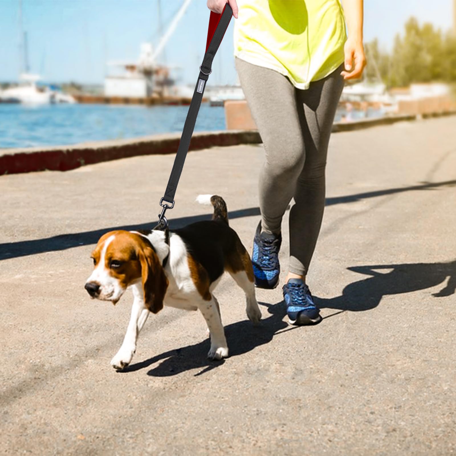 VIVAGLORY walking leash for park use supports close proximity training