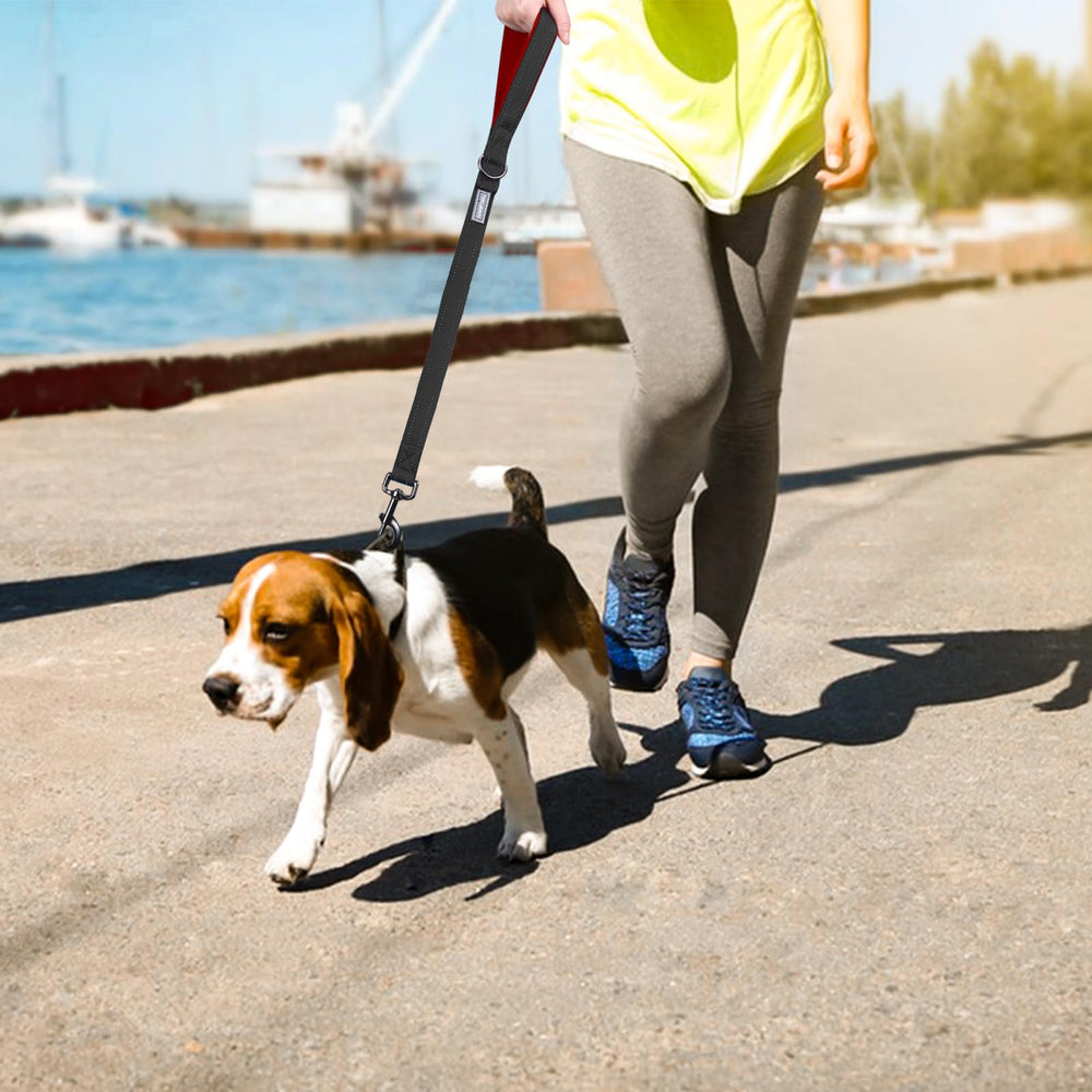 VIVAGLORY walking leash for park use supports close proximity training
