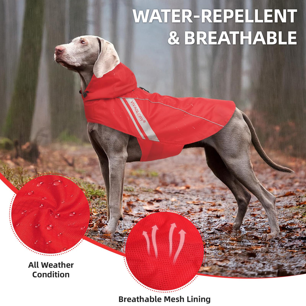 VIVAGLORY Wetoff dog raincoat back view shows snug fit and water-repellent fabric.