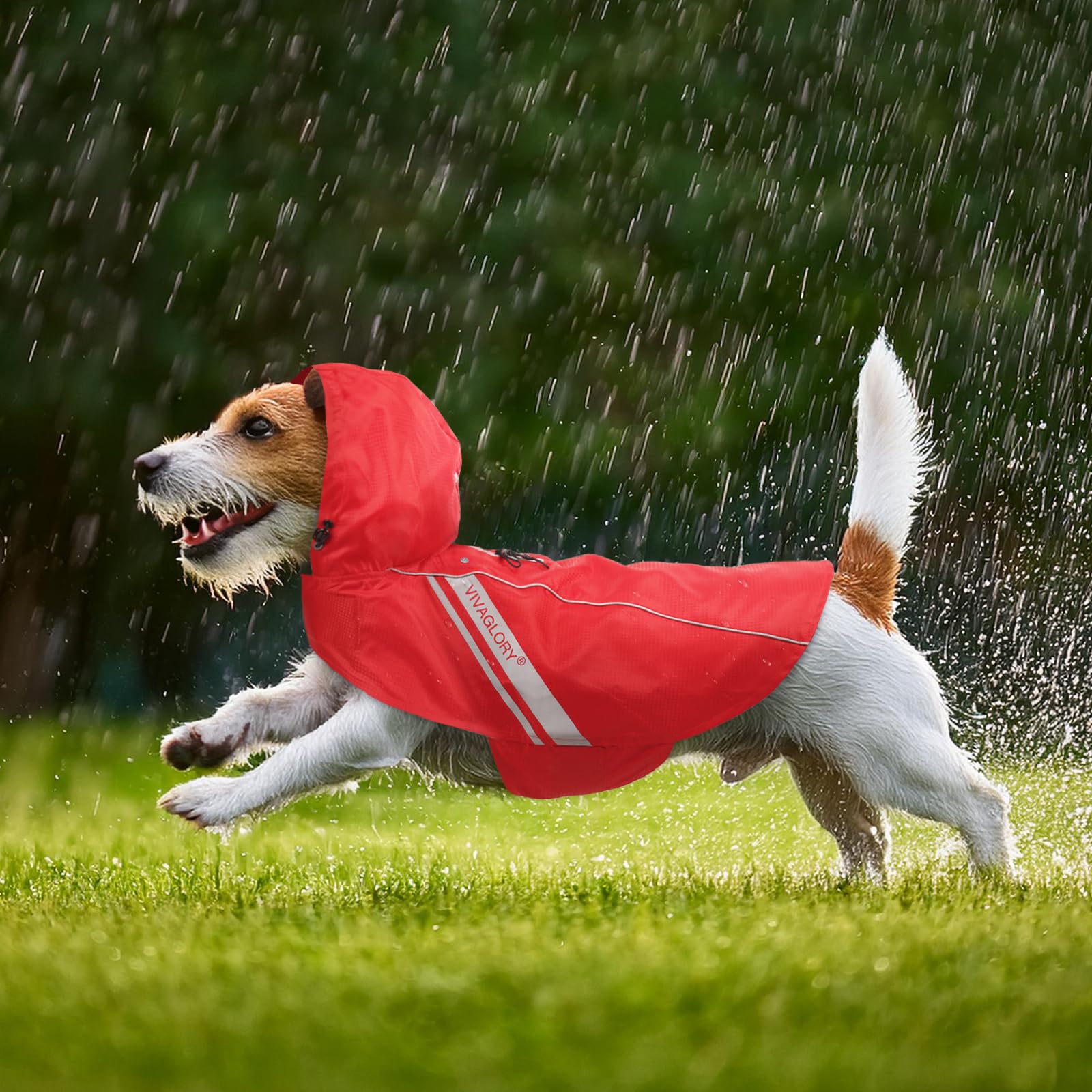 VIVAGLORY Wetoff in red color complements outfits and safety.