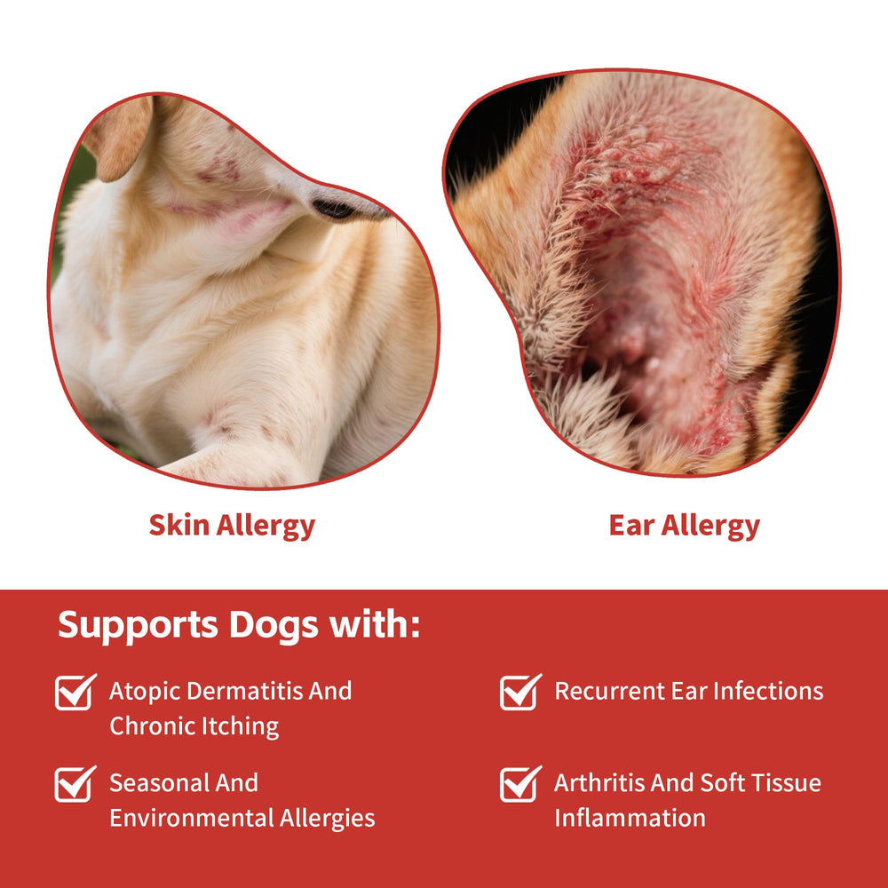 VivaElixir dog-ear-skin-use-scene demonstrates real-world application for itch relief and irritation.