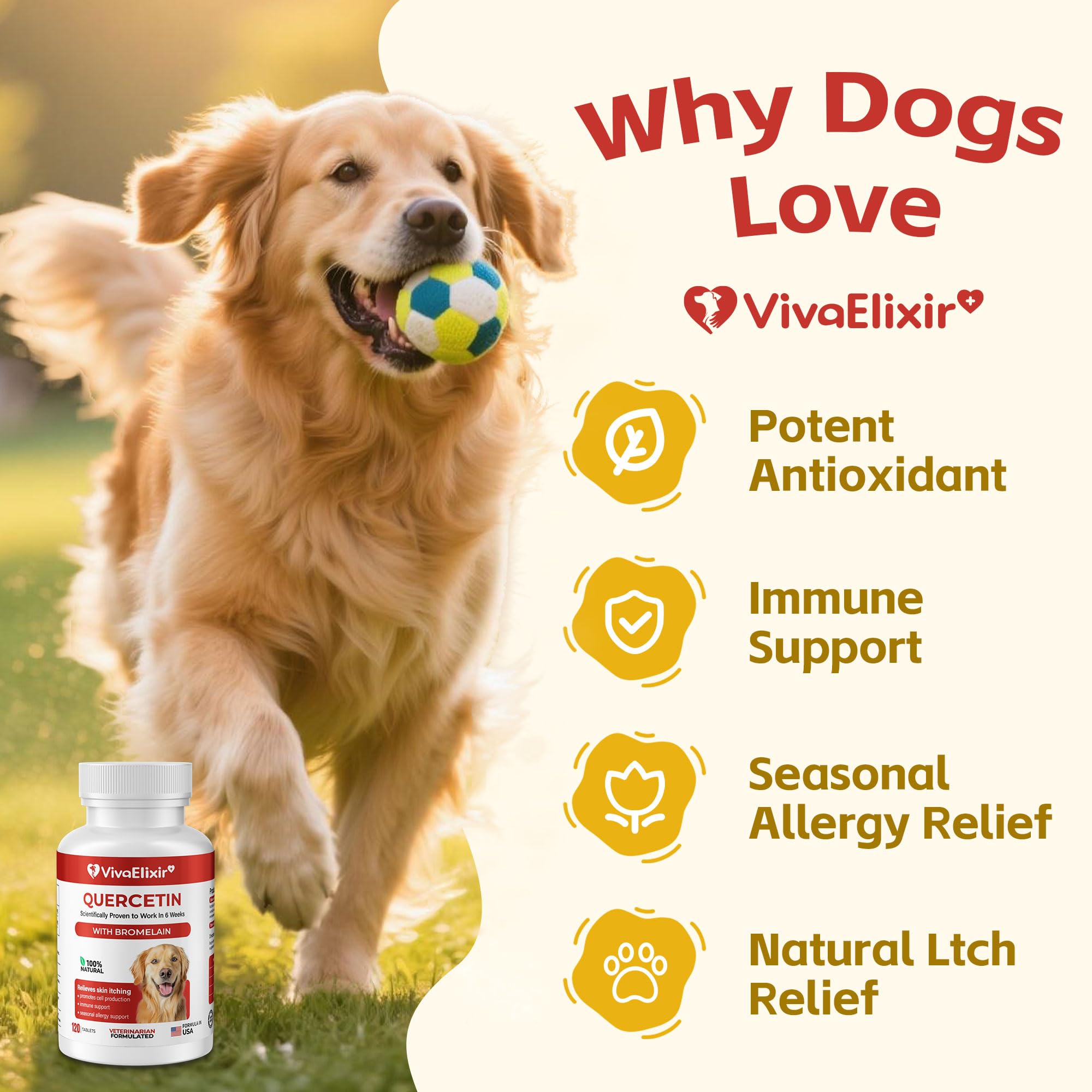VivaElixir dog quercetin-bromelain tablets closeup showcases palatable texture for easy dosing.