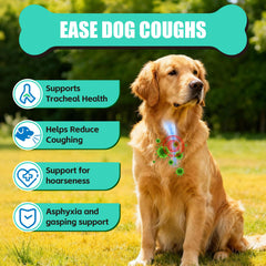 VivaElixir kennel cough chews bottle shown for natural respiratory support.